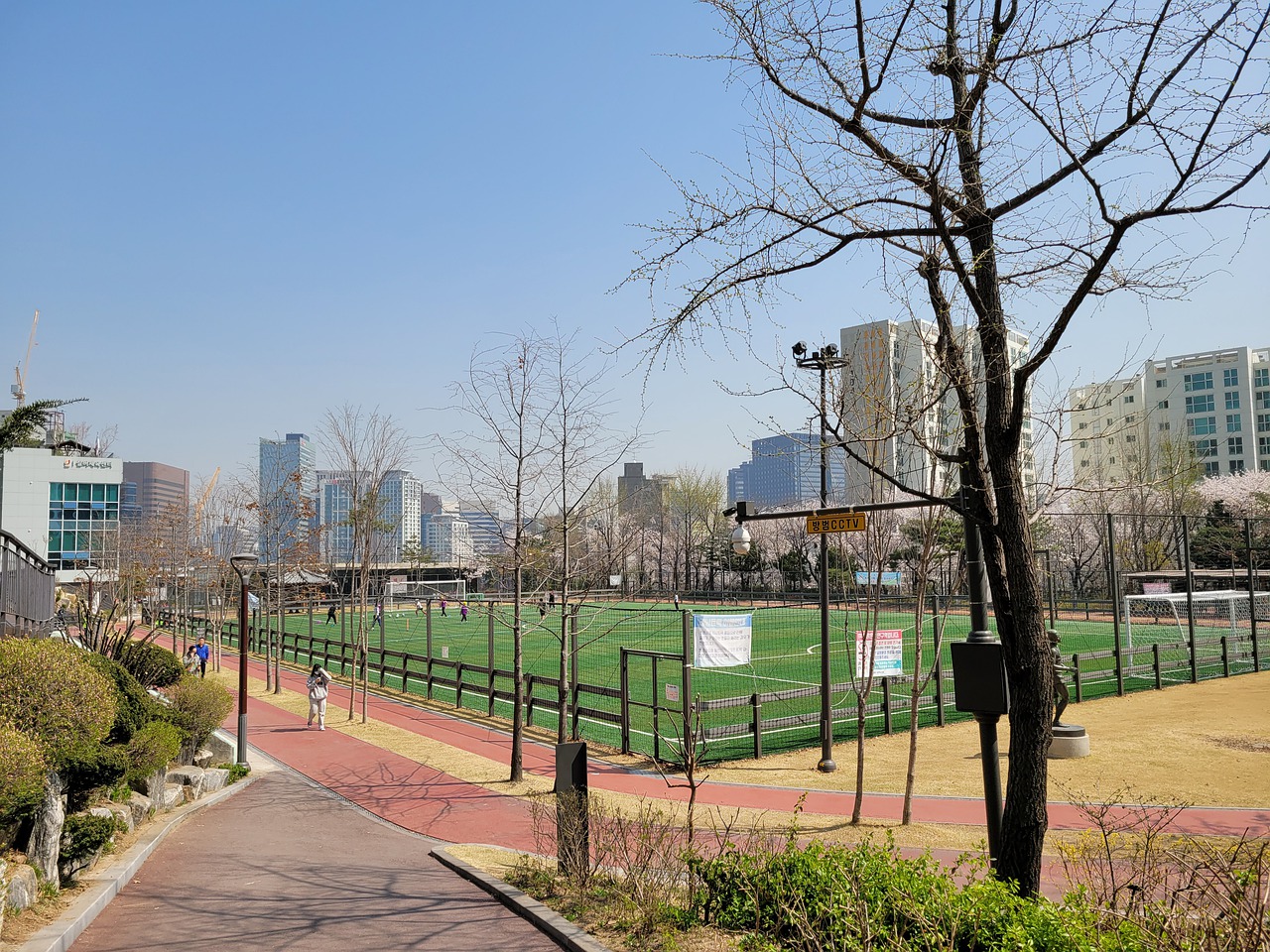 佩西納在場