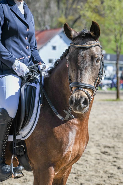 而篮网急需 而篮网急需