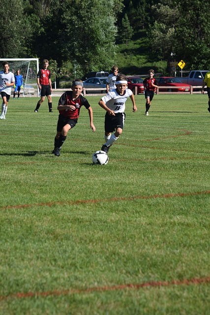 的收藏品 的收藏品