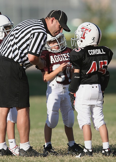 乔丹的新人 乔丹的新人