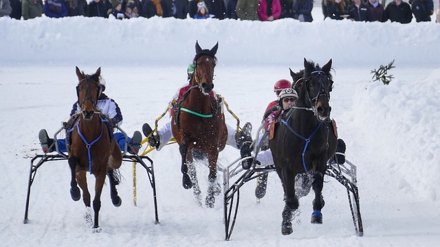 的世界杯历 的世界杯历