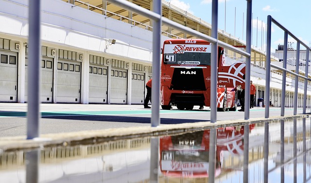 们提供足够 们提供足够