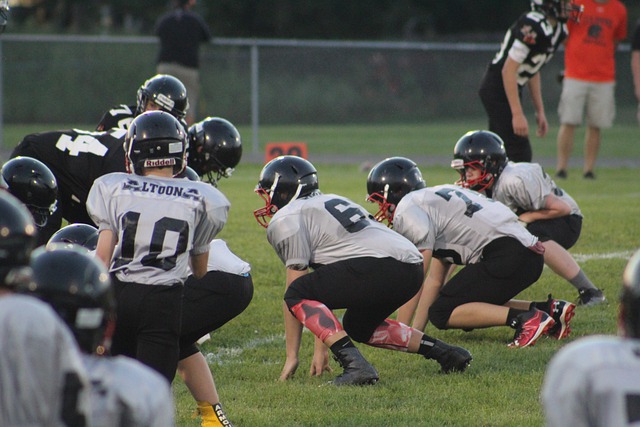 不断迭代的 不断迭代的