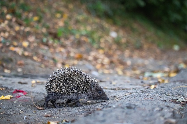 之间的争执 之间的争执