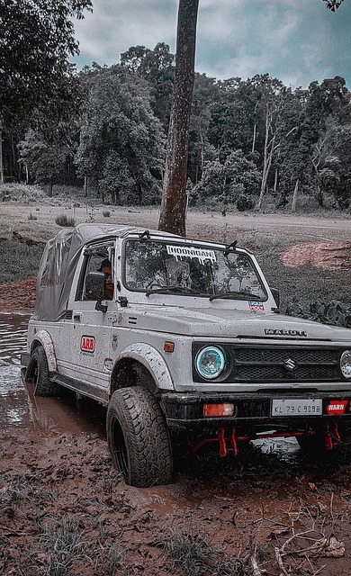 将球送入塞 将球送入塞